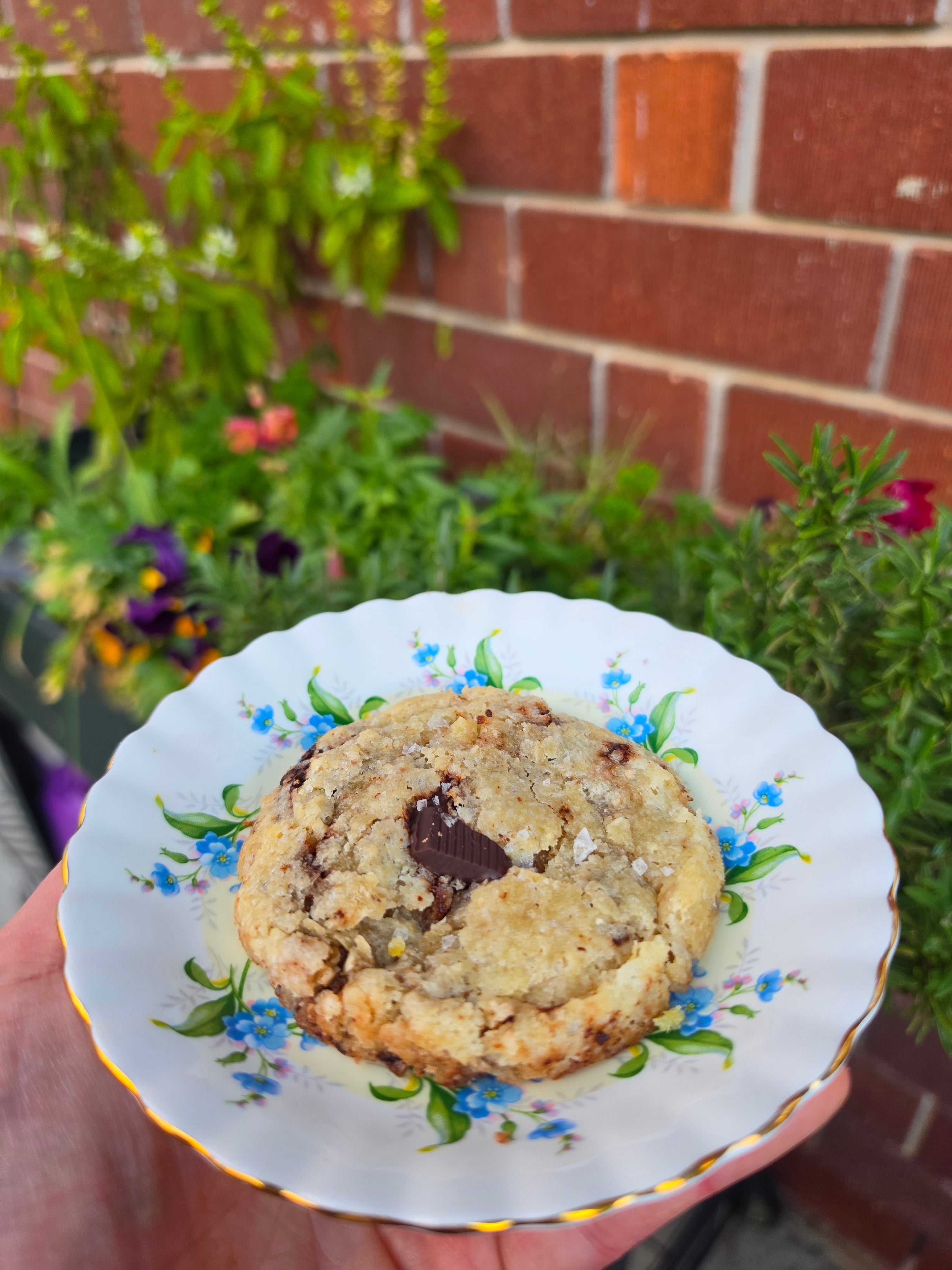 Dark choc chip cookie (GF + Vegan)