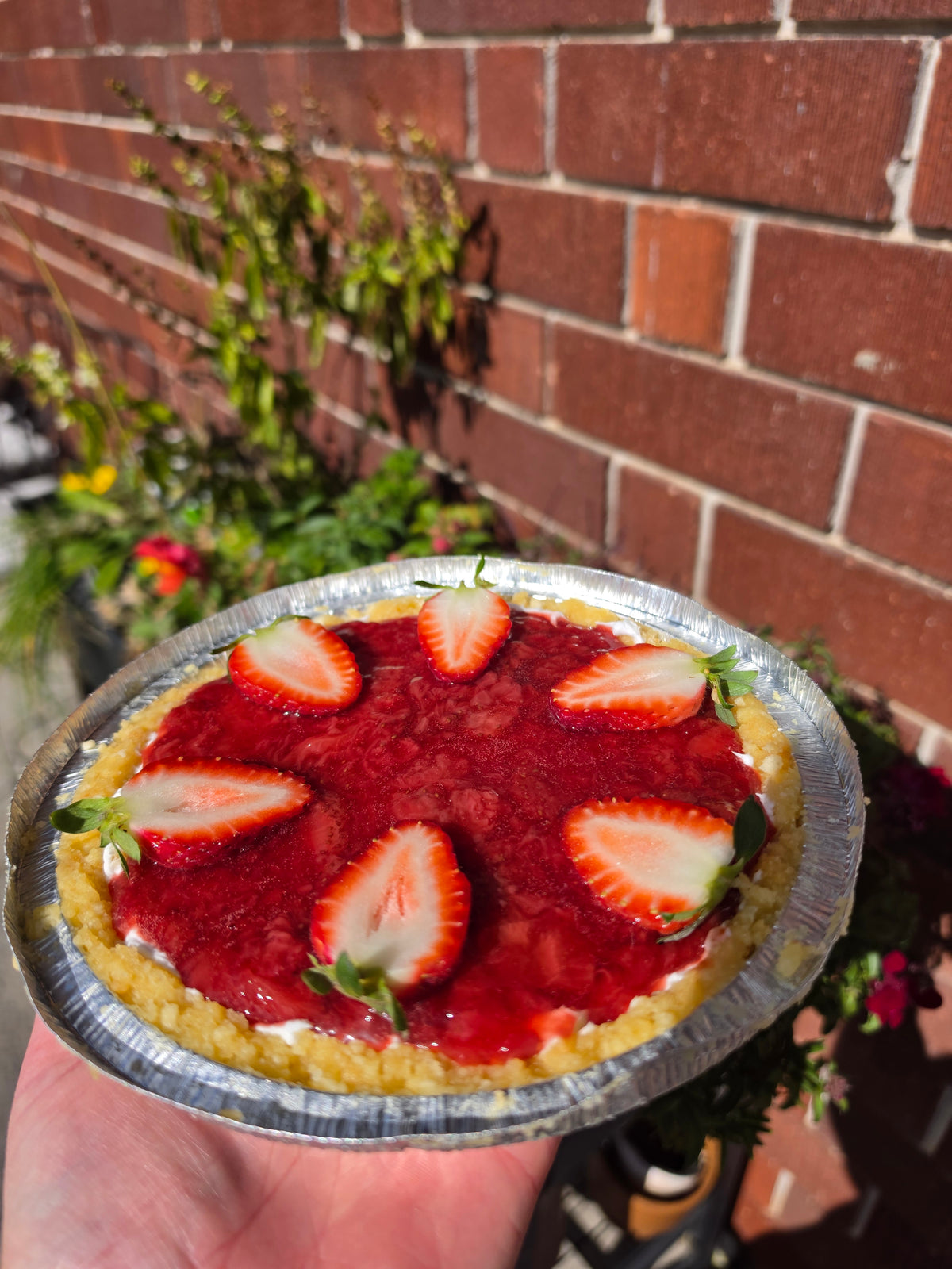 Cheesecake (GF + Vegan)