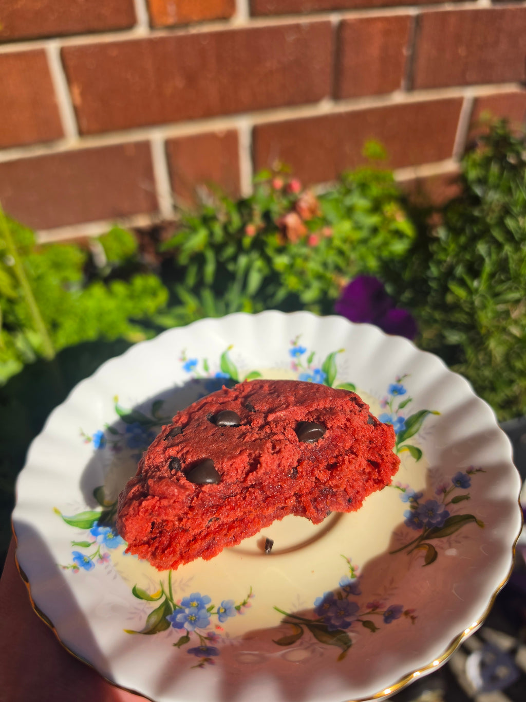 Red velvet chocolate chip cookie (GF + Vegan)