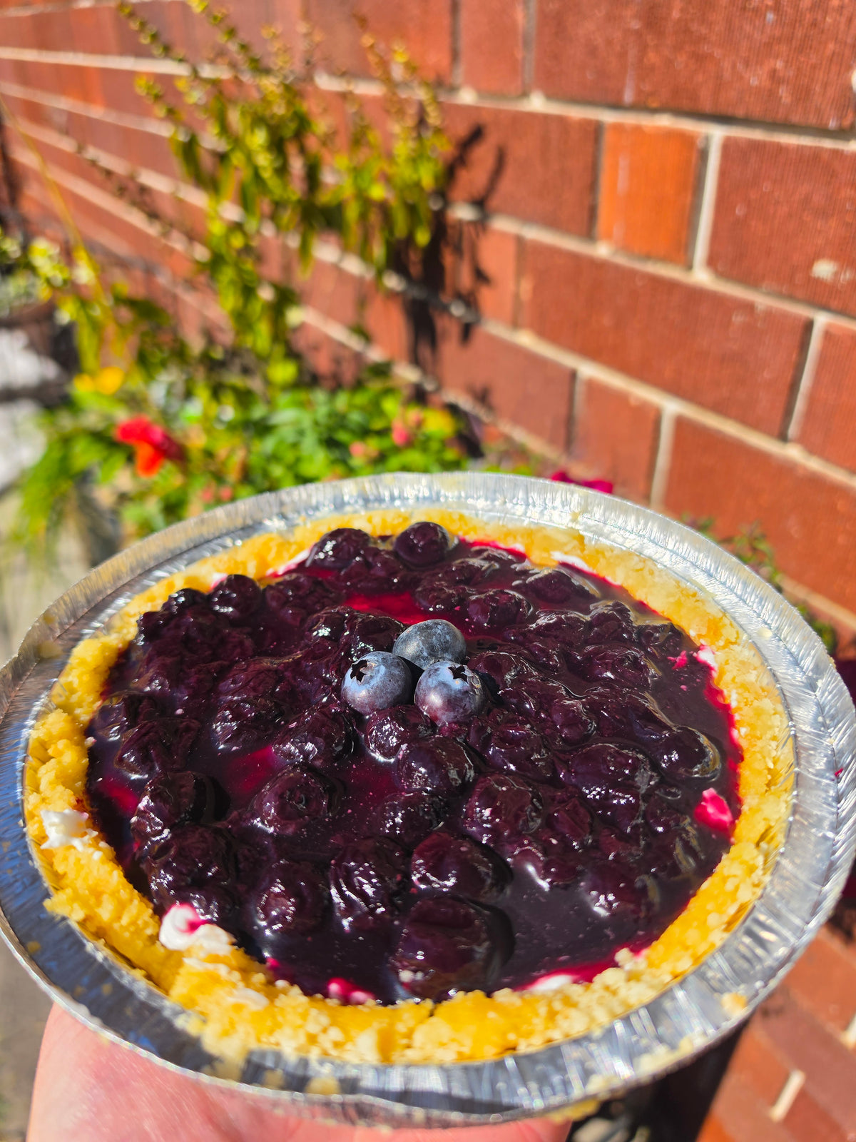 Cheesecake (GF + Vegan)