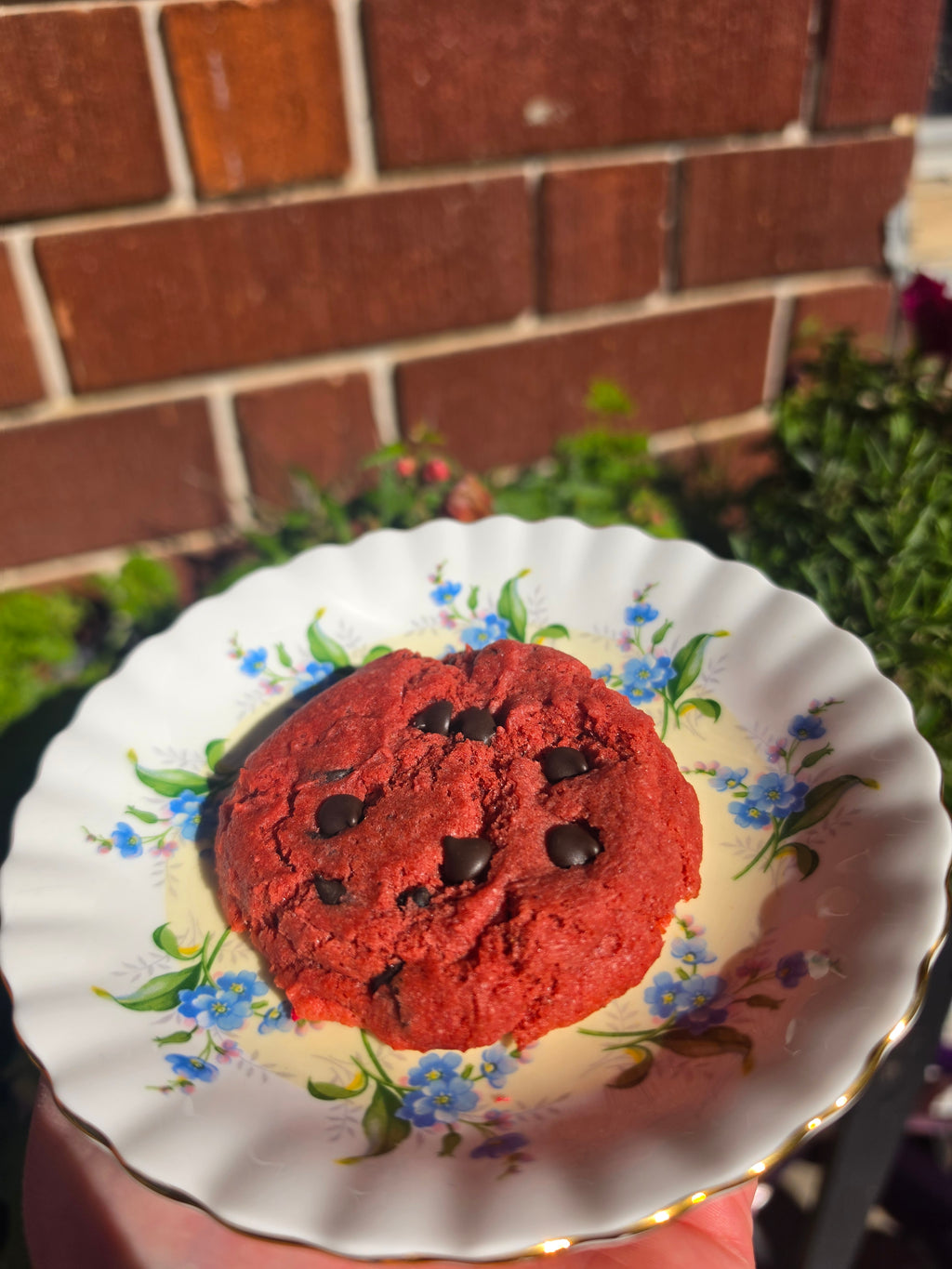 Red velvet chocolate chip cookie (GF + Vegan)
