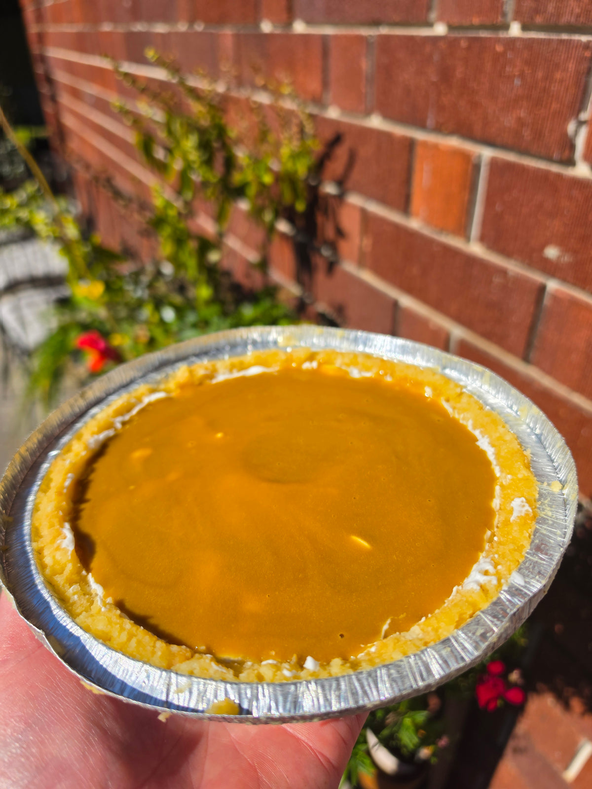 Cheesecake (GF + Vegan)