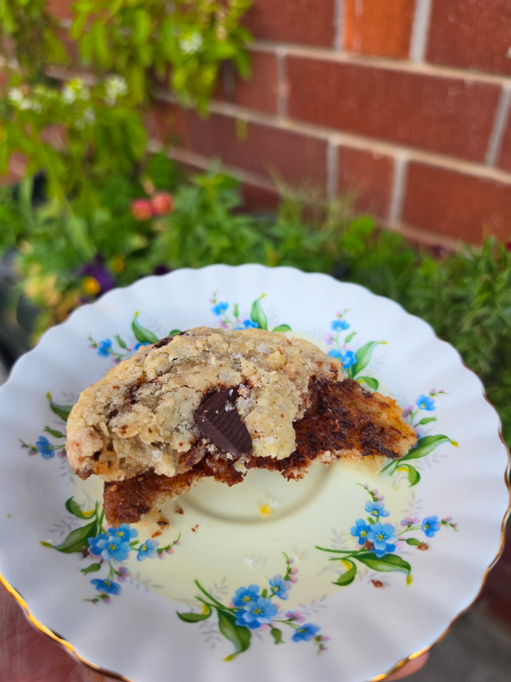 Dark choc chip cookie (GF + Vegan)